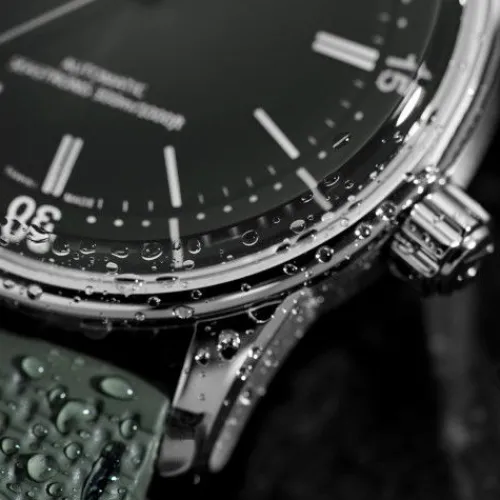 Alpina Seastrong Diver 300 Heritage - AL-520GR4H6