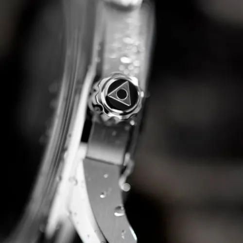 Alpina Seastrong Diver 300 Heritage - AL-520GR4H6