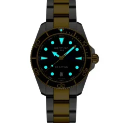 Certina DS Action (40 mm) - C048.410.22.041.00