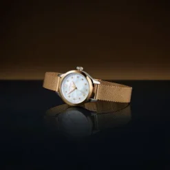 Victorinox Alliance XS - 241879