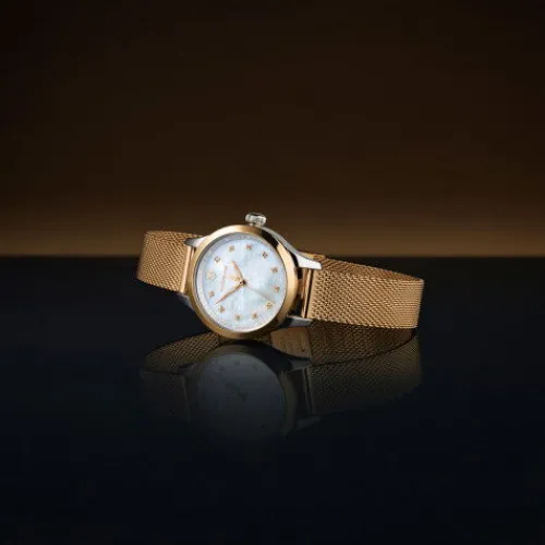 Victorinox Alliance XS - 241879